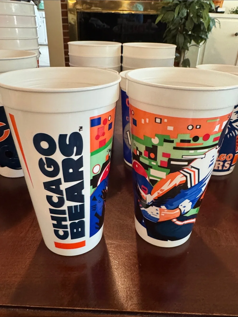 Chicago Bears Stadium Cups - Set of (26)